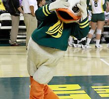 Bashful Duck by Laddie Halupa