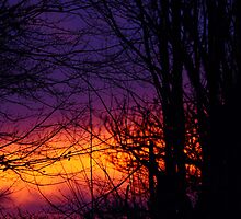 Morning's Passion by A Different Eye Photography