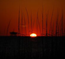 A New Day(for the victims of Hurricane Sandy) by zpawpaw