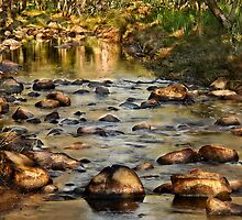 "Shades Of Light" by Heather Thorning