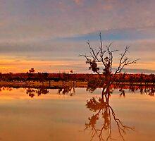 Big Red Panorama by donnnnnny