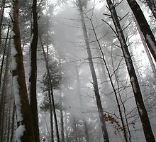 Heavenly Dusting by linmarie