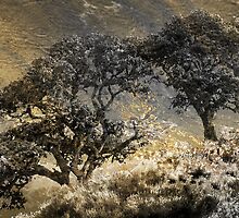 From Sea to Shining Sea by CarolM