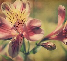 The Very Thought of You by Laurie Search
