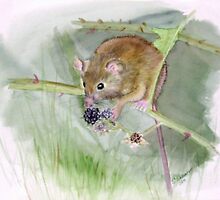 "Field Mouse" by sooziii