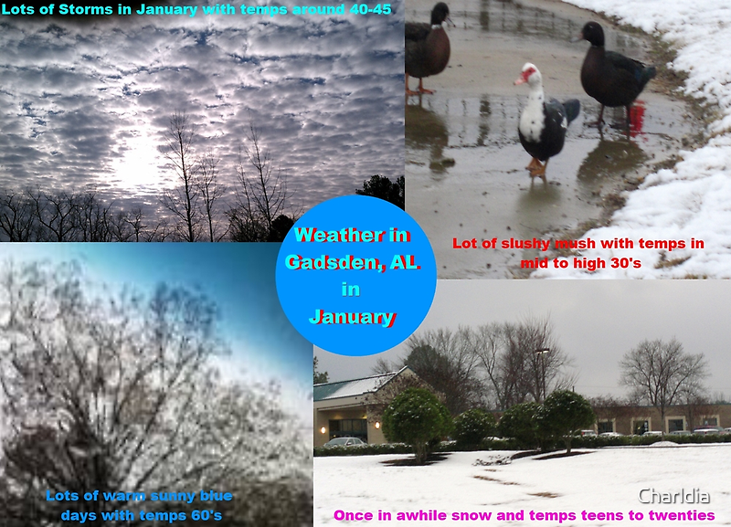January Weather in Gadsden by Charldia