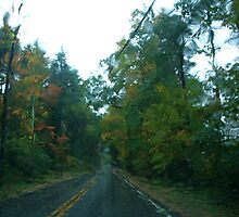 Driving in the blinding rain, Vermont by RonnieGinnever