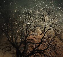 Sparkling tree by Matthias Keysermann