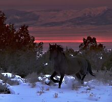 A Peaceful Life by Jeanne Nations