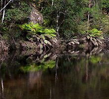 Surprise Location by Malcolm Katon