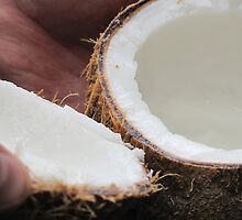Fresh Luscious Tasting Coconut by HanieBCreations