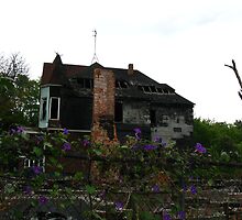 Life among Destruction by Rencen