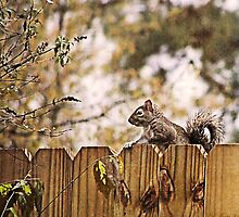 Hello Neighbor by Pat Moore
