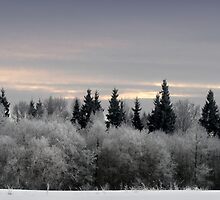 Winter sunrise in frost day by Antanas
