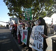 Supporting Egypt Demonstrators in Tempe Arizona by Leyla Hur
