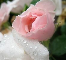 The sweetness of imperfections by MarianBendeth