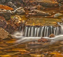 Holwell Gorge 2 by traveller
