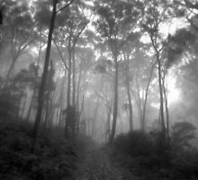 Unfortuneately the Bread Crumb Trail was Eaten by Crows. by Ben Loveday
