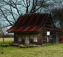 Dollhouse Cabin by Dawn di Donato