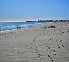 Winter Walk On The Beach - Series 2011- *Featured by Jack McCabe