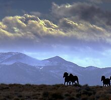 Glorious Freedom At Last by Jeanne Nations
