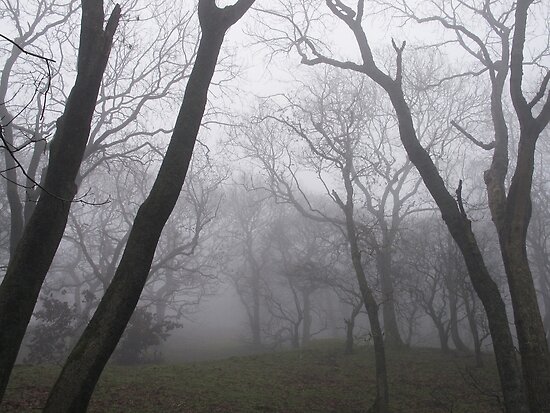 Eerie Trees