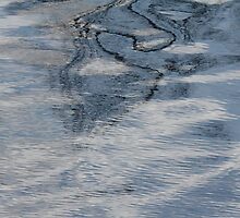 Seeing Things in the River by Lynn Wiles
