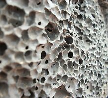 rock formation by David White