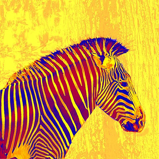 "yellow zebra" by jashumbert Redbubble