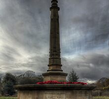 In honour of the brave by illumin8