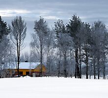 Yellow house in winter time by Antanas