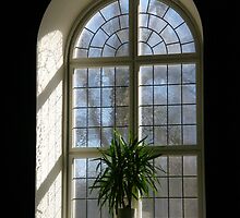 Church window by João Figueiredo