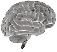 Brain by Nasko .