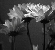 To burst into blossom by Antanas