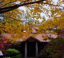 Mountain Cottage by Caine Mazoudier