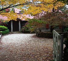 Mountain Cottage 2 by Caine Mazoudier