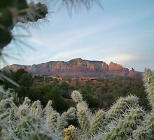 Its All Good ..SEDONA by lifeisgoodheidi