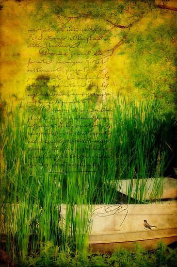 A Love Letter From Summer by Lois Bryan A Love Letter From Summer by Lois Bryan
