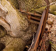 Abandoned Manure Spreader - Parts by Davidlphoto