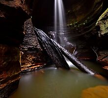 Hidden Treasure..26-4-11. by Warren Patten