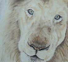 Casper the White Lion by Pamela Stirling