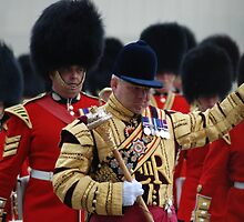 Wedding guard by justbmac