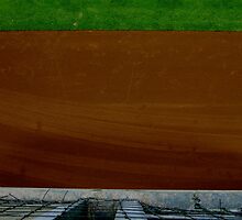 grassdirtfence by bron stadheim