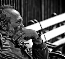 Another day, another bit of despair to ponder by alan shapiro