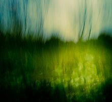 A Place to Pause & Reflect by Su Walker