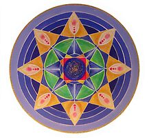 Mandala : Seeds of change by danita clark