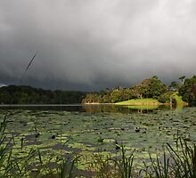 Light on the Dam - Rocky Creek Dam near Lismore NSW by Beth Wode