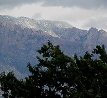 Dusting of Snow by Loree McComb