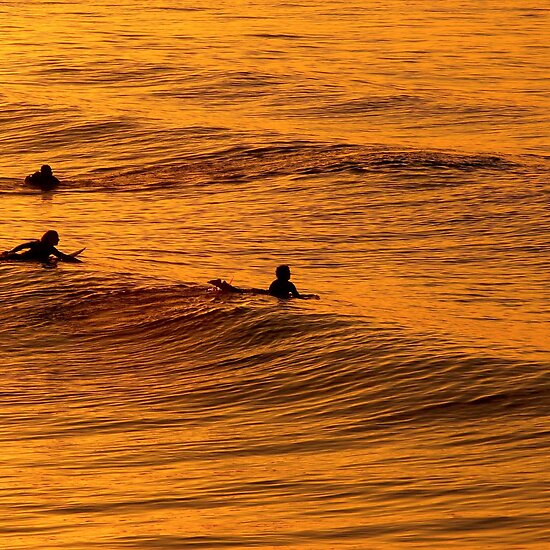 gold coast sunset. Surfing at Sunset, Gold Coast