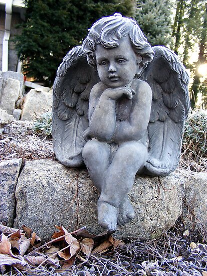 cherub wallpaper. angel cherub lamps